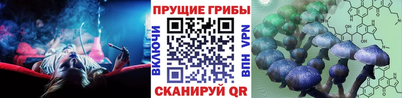 Псилоцибиновые грибы ЛСД  Купить где  Камышлов 